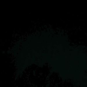 Meet your Posher, Carmela